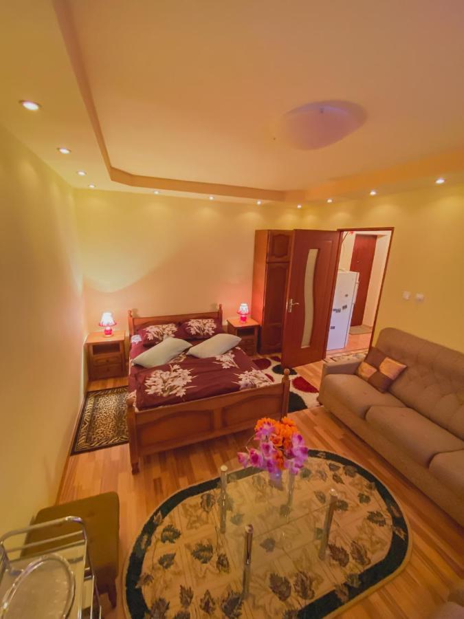 Apartament Cristian Geoagiu Băi Dış mekan fotoğraf