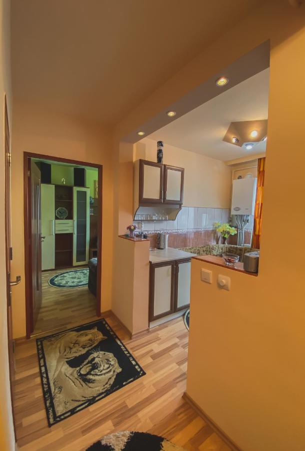 Apartament Cristian Geoagiu Băi Dış mekan fotoğraf