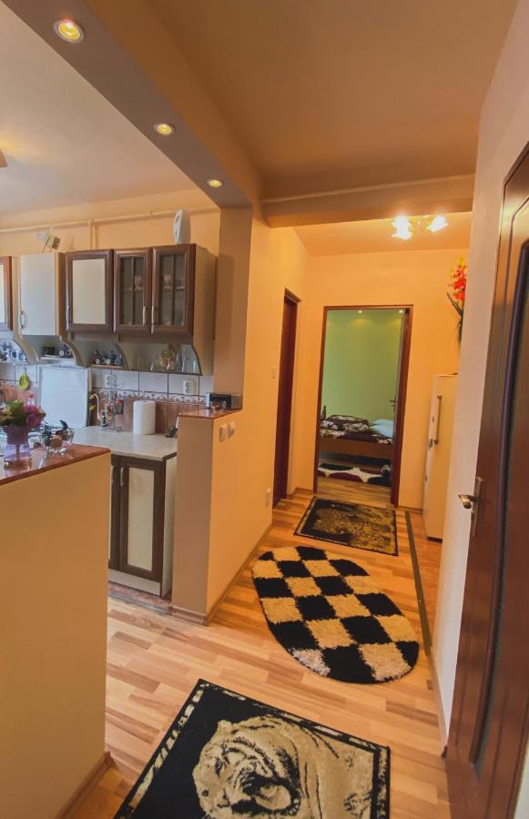 Apartament Cristian Geoagiu Băi Dış mekan fotoğraf